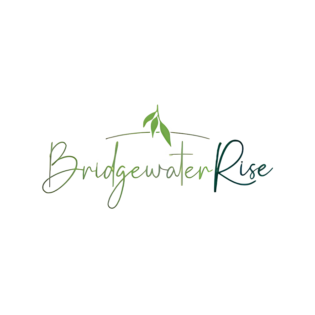 Bridgewater Rise Estate - Bridgewater On Loddon logo