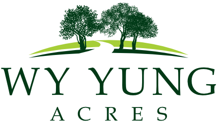 Wy Yung Acres Estate - Wy Yung logo