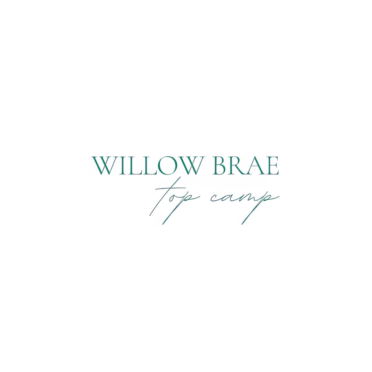Willow Brae - Top Camp logo