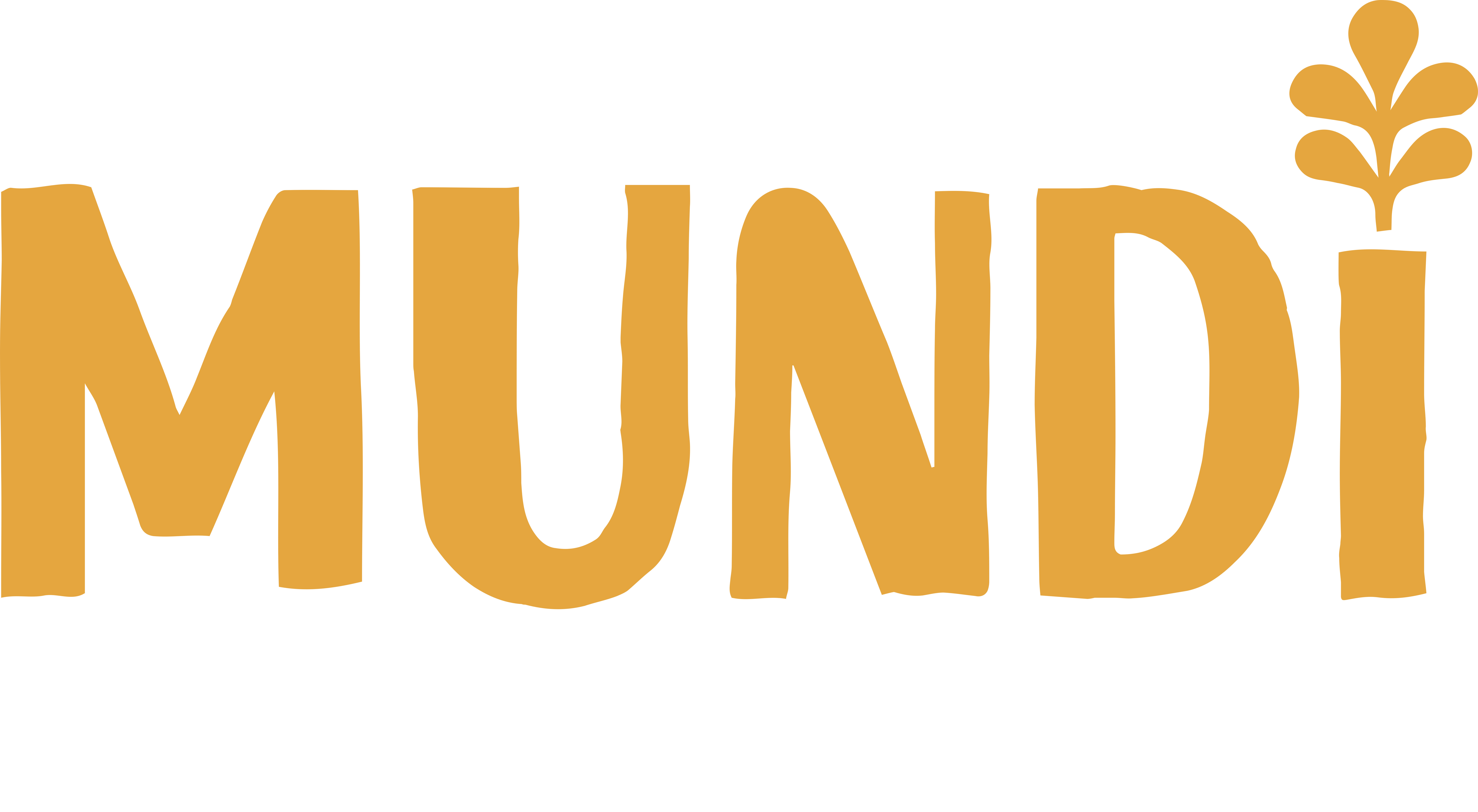 Mundi logo