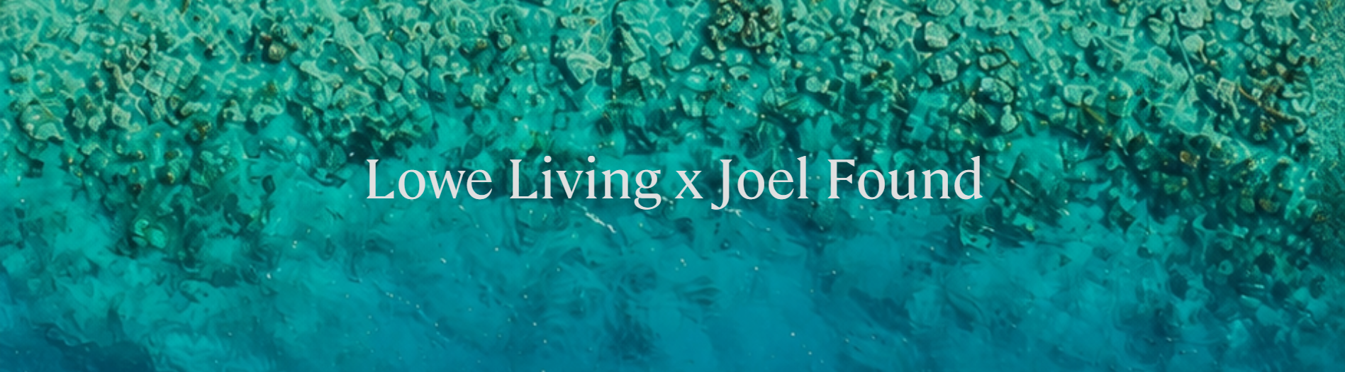 Lowe Living x Joel Found