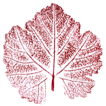 Burgundy Estate logo