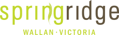 Springridge logo
