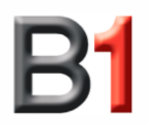 B1 Homes, WA logo