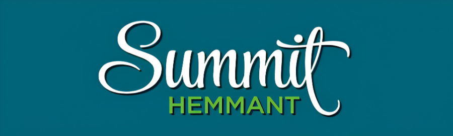 Summit Hemmant logo
