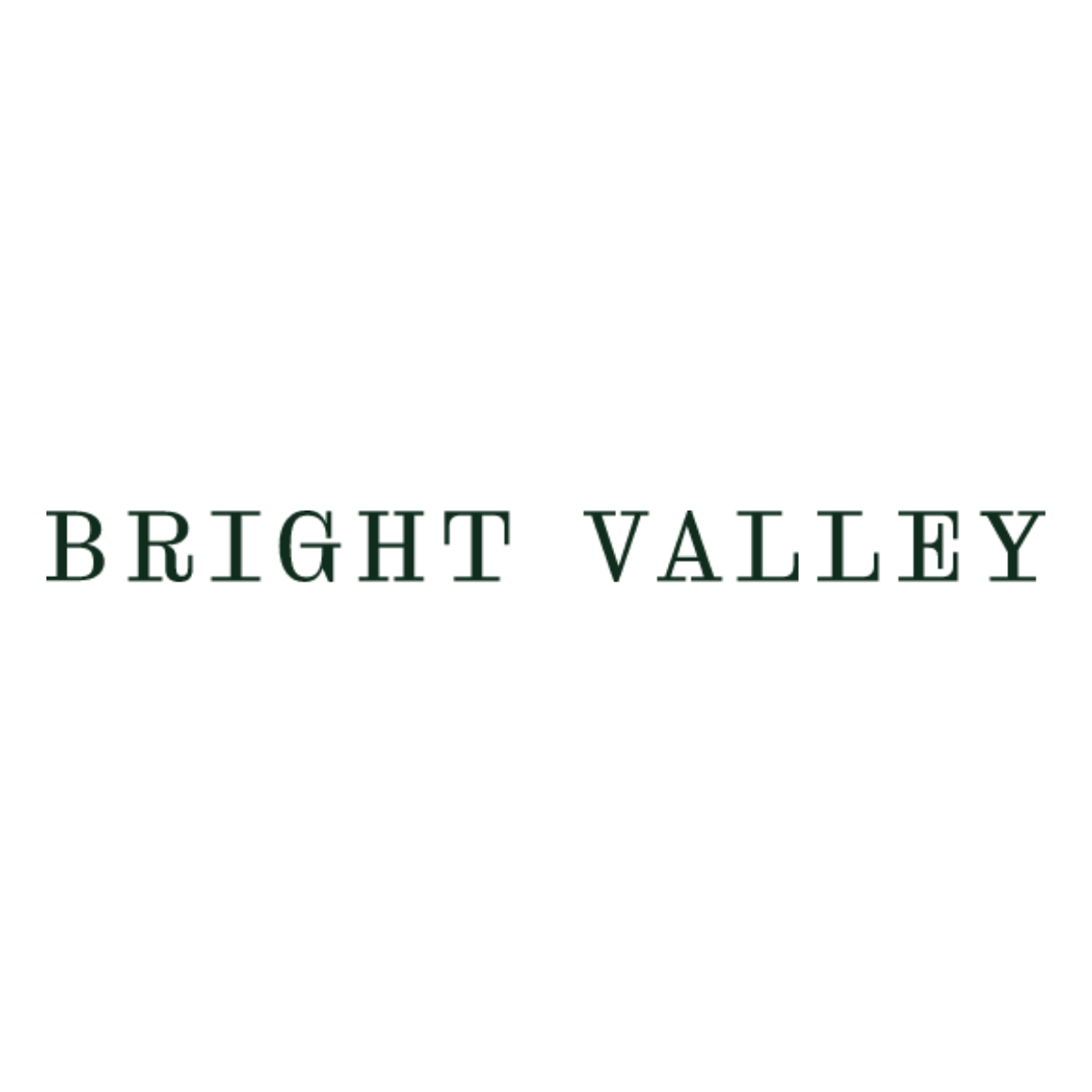 Bright Valley - Bright logo